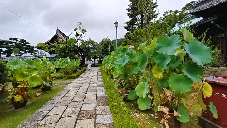 清見寺2.jpg