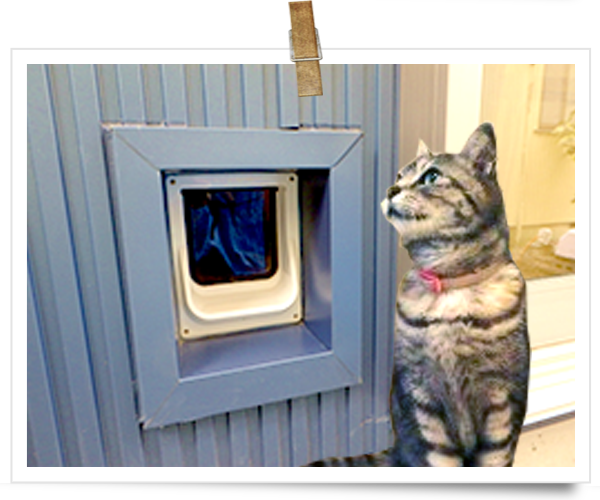 ねこちゃん専用ドア